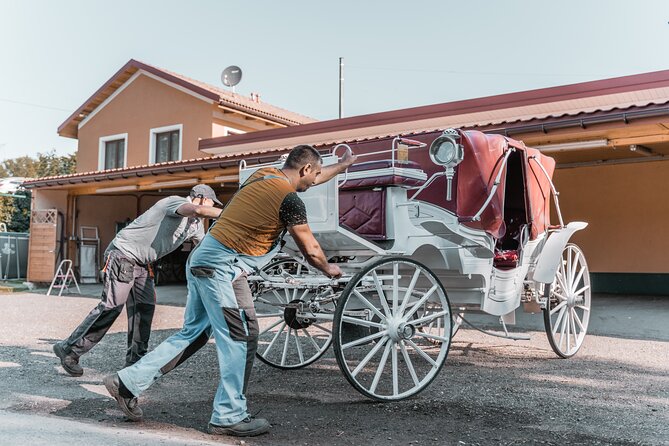 Vienna Horse-drawn Carriage Guided Tour - The Ringstrasse brings on the famous facades