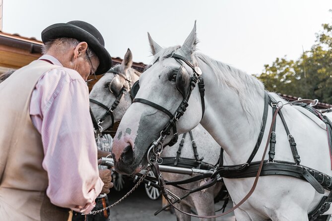 Vienna Horse-drawn Carriage Guided Tour - Hofburg Square is the strongest finish