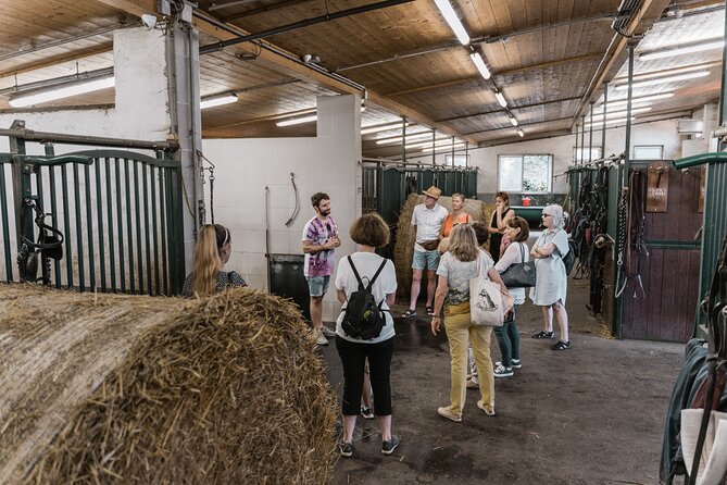 Vienna Horse-drawn Carriage Guided Tour - Families, strollers, and practical comfort