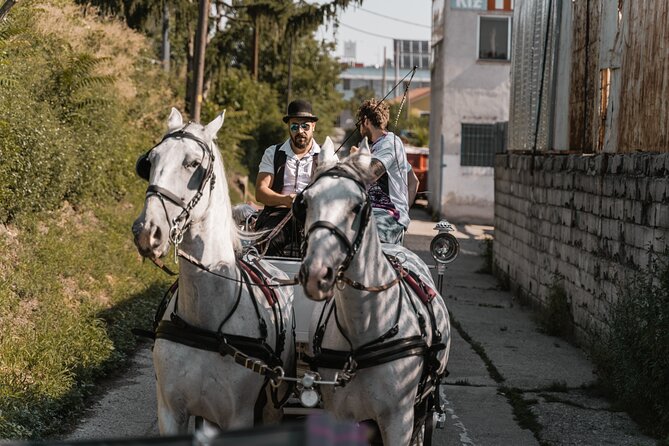 Vienna Horse-drawn Carriage Guided Tour - The horse-care question matters