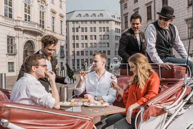 Vienna Horse-Drawn Carriage Ride with Sparkling Wine and Food - Why the private format suits special occasions