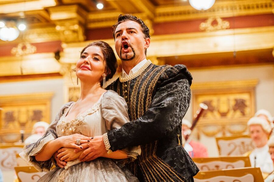 Vienna: Mozart Concert and Austrian Delights Dinner - Mozart, Strauss, and the Viennese concert tradition