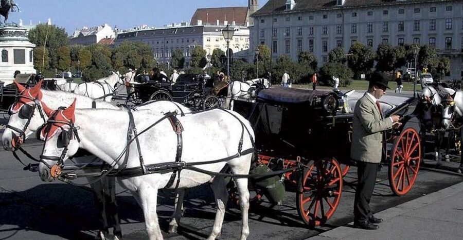Vienna: Mozart Concert with Dinner and Carriage Ride - Choosing between three major concert venues