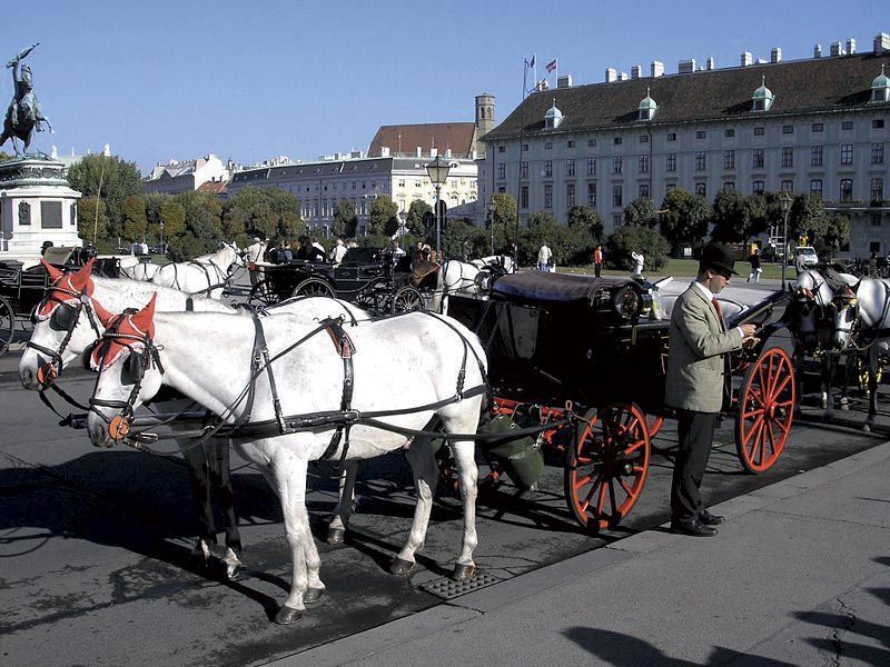 Vienna: Mozart Concert with Dinner and Carriage Ride - Who will enjoy this Vienna evening most?