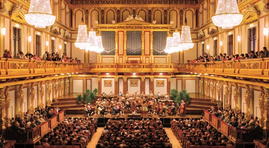 Vienna: Mozart Concert with Dinner and Carriage Ride - Practical points before you reserve