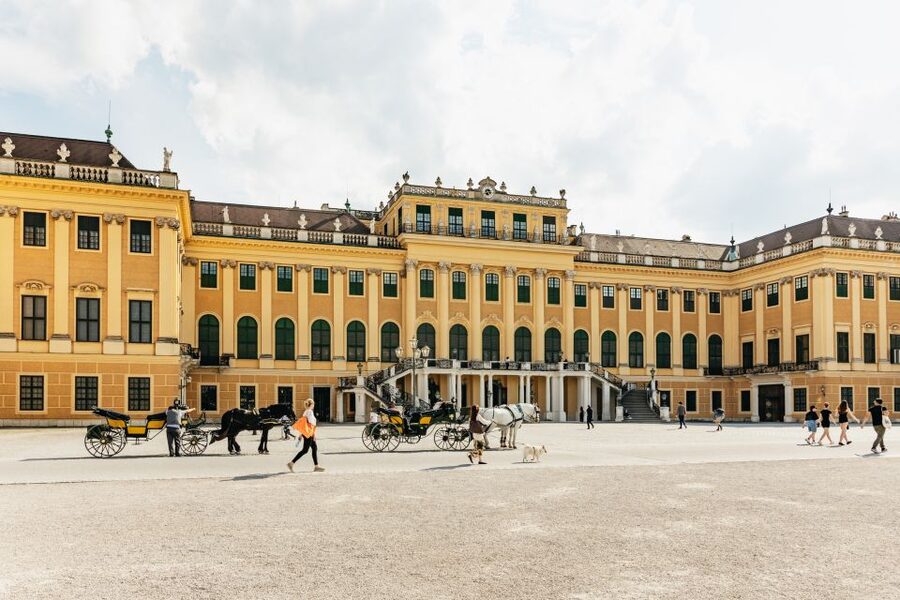 Vienna: Panorama Train Tickets to explore Schönbrunn Palace - The main drawbacks to keep in mind