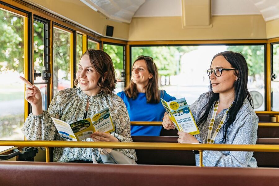 Vienna: Panorama Train Tickets to explore Schönbrunn Palace - Making the most of the Gloriette stop