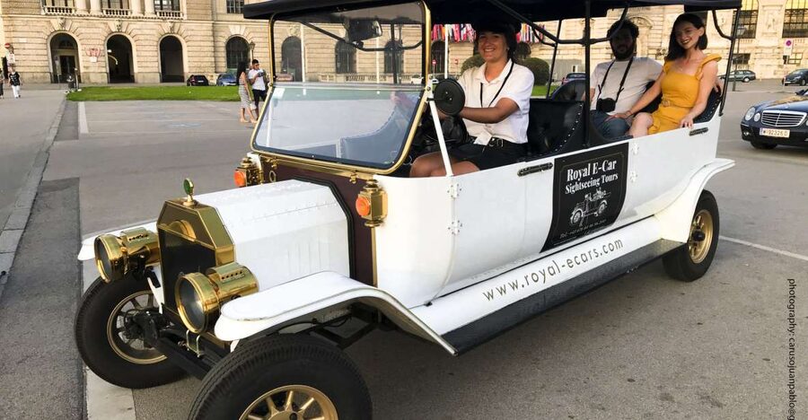 Vienna: Private Electric Car Sightseeing Tour - Starting at Cafe Mozart near Albertina Square