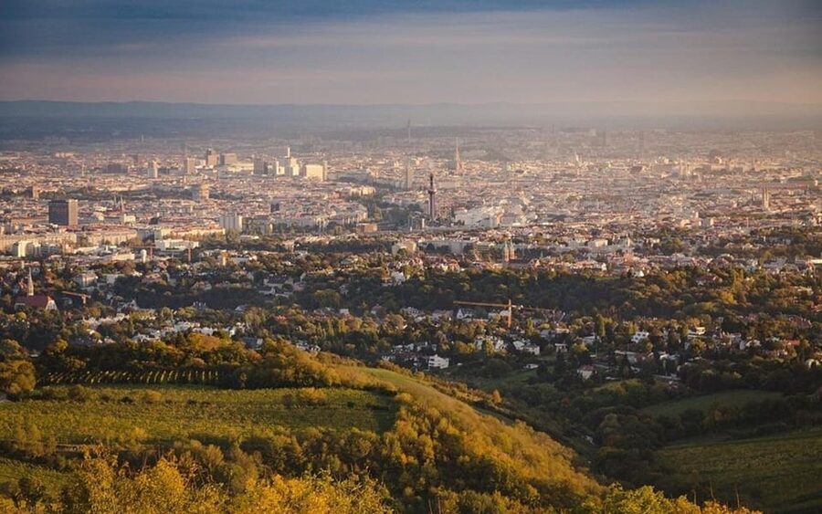 Vienna: Private Half-Day Sightseeing Tour - The Danube Tower and optional Prater views