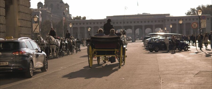 Vienna: Private Walking Tour to The Hofburg & Graben Street - Key points to know before booking