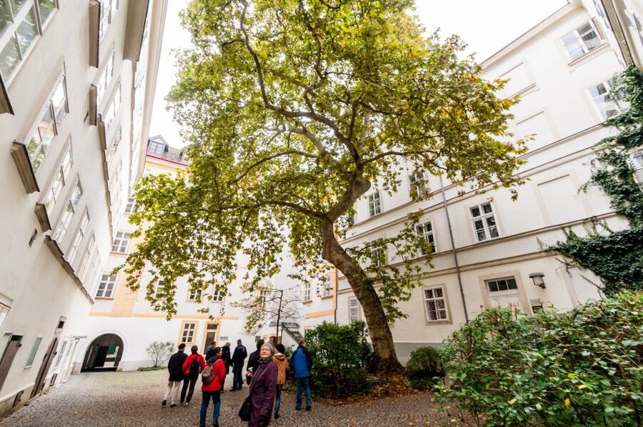 Vienna: Romantic Old Town 2-Hour Discovery Tour - A look inside the old university quarter
