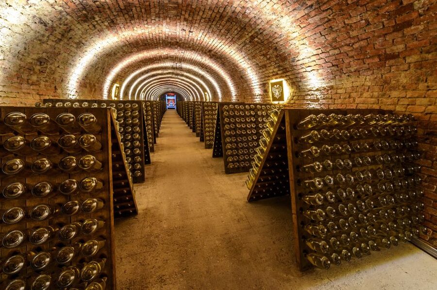 Vienna: Schlumberger Wine Cellar Guided or Self-Guided Tour - Key things to know before you go