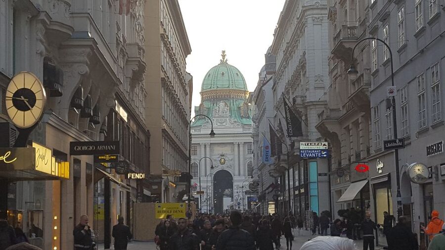 Vienna: Schönbrunn Palace and City Center Guided Tour - The Opera House and Albertina Square