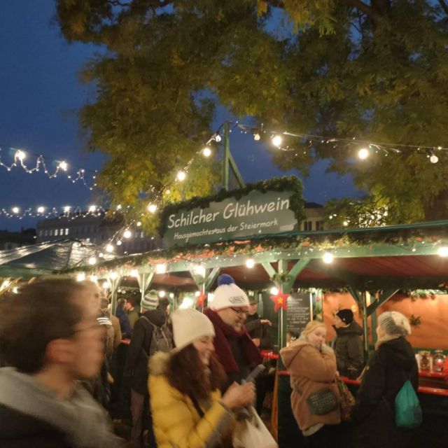 Vienna: Schönbrunn Palace & Christmas Market Walking Tour - Christmas lights and the Christkind Markt