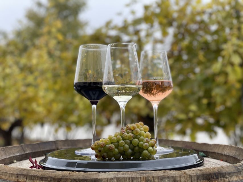 Vienna: Schönbrunn Palace Entry Ticket and Wine Tasting - The Grand Tour from 2:15 to 3:15 PM