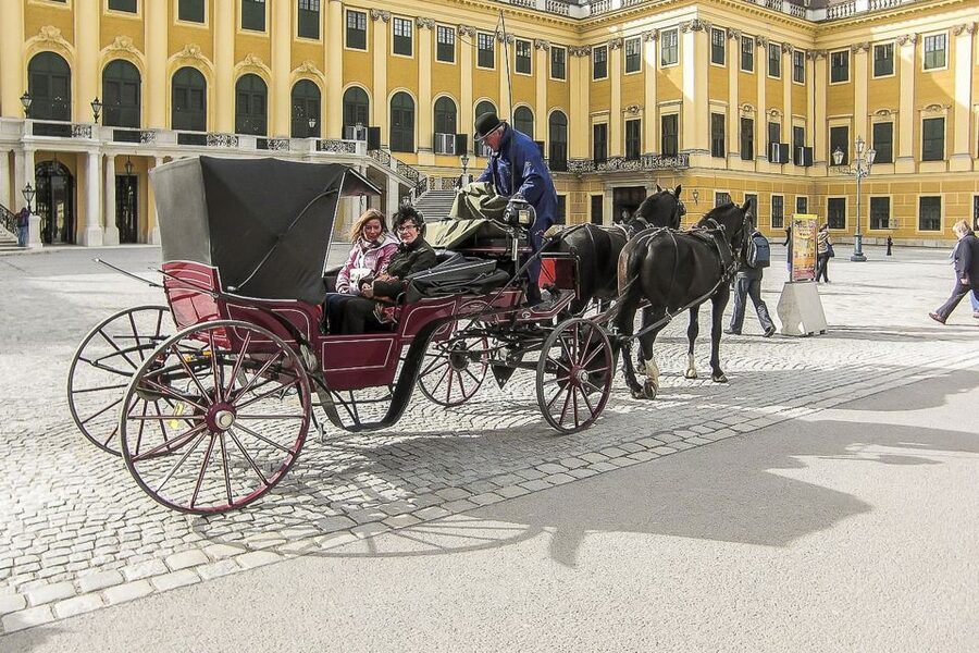 Vienna: Schönbrunn Palace & Gardens Skip-the-Line Tour - How the $63 price works out