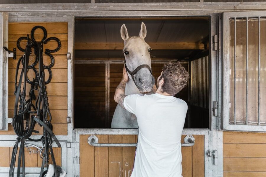 Vienna: Secrets of the Fiaker & Horse-Drawn Carriage Ride - Why this Fiaker tour feels different