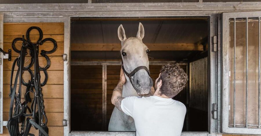 Vienna: Secrets of the Fiaker & Horse-Drawn Carriage Ride - Inside the original Viennese Fiaker stable