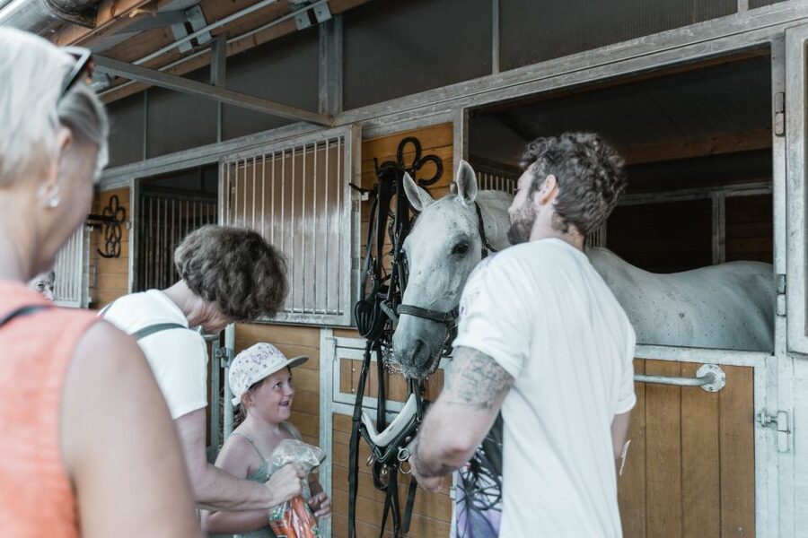 Vienna: Secrets of the Fiaker & Horse-Drawn Carriage Ride - Where you finish and what to do next