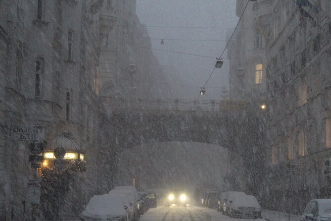 Vienna Secrets Walking Tour to Backyards and Mysterious Locations - Starting at Stephansplatz and finding your bearings