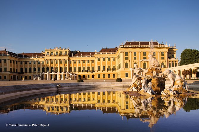Vienna: Skip the Line Schönbrunn Palace and Gardens Guided Tour - What happens after the guided visit