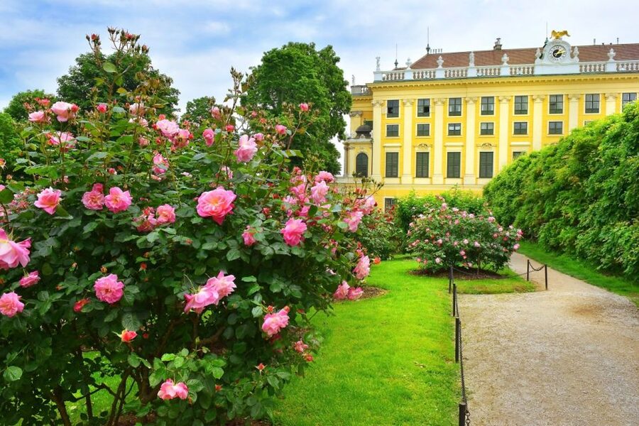 Vienna: Skip-the-Line Schonbrunn Palace Private Tour - Schonbrunn Gardens and the walk to the Gloriette