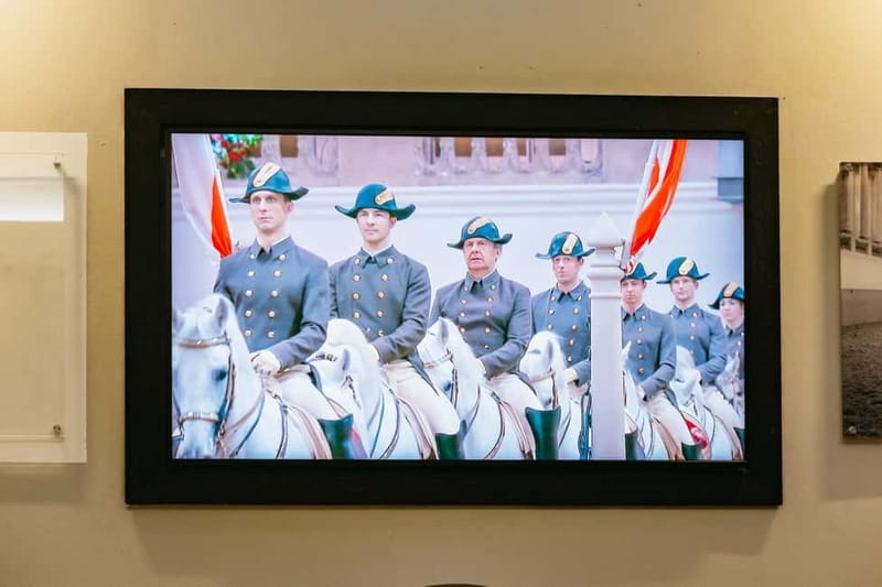 Vienna: Spanish Riding School Guided Architectural Tour - A rare view over Vienna’s Old Town