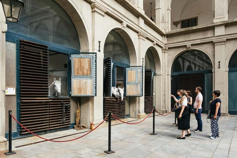 Vienna: Spanish Riding School Guided Architectural Tour - Meeting the Lipizzaner stallions in their stables
