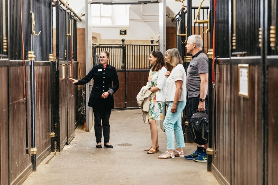 Vienna Spanish Riding School Guided Tour - Key points to know before you go