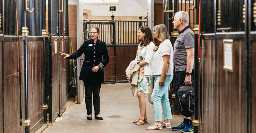 Vienna Spanish Riding School Guided Tour - Why this short tour works so well in Vienna