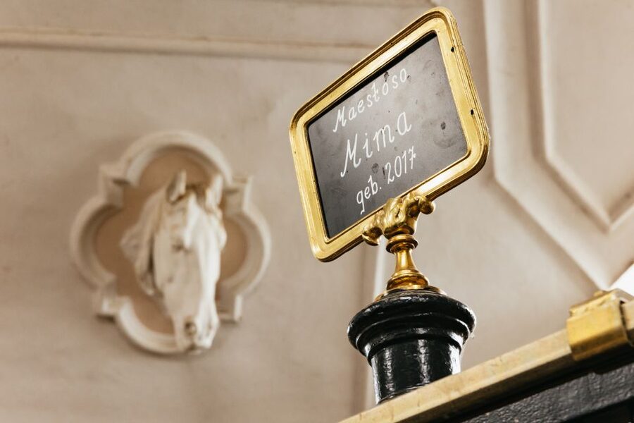 Vienna Spanish Riding School Guided Tour - The Stallburg stables and the Lipizzaner stallions