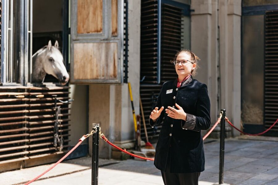 Vienna Spanish Riding School Guided Tour - The tack room, training equipment, and working details