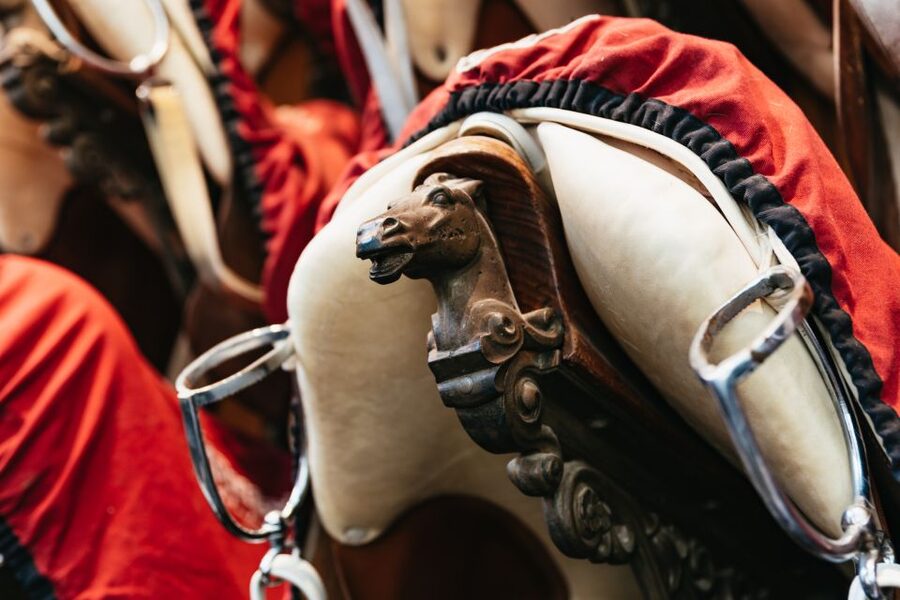 Vienna Spanish Riding School Guided Tour - The guides make the difference