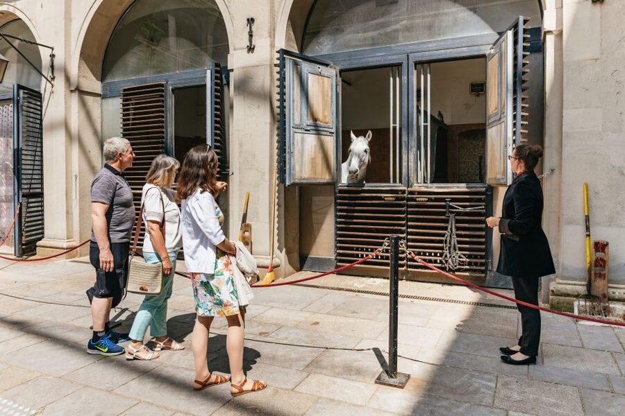 Vienna Spanish Riding School Guided Tour - What $28 gets you