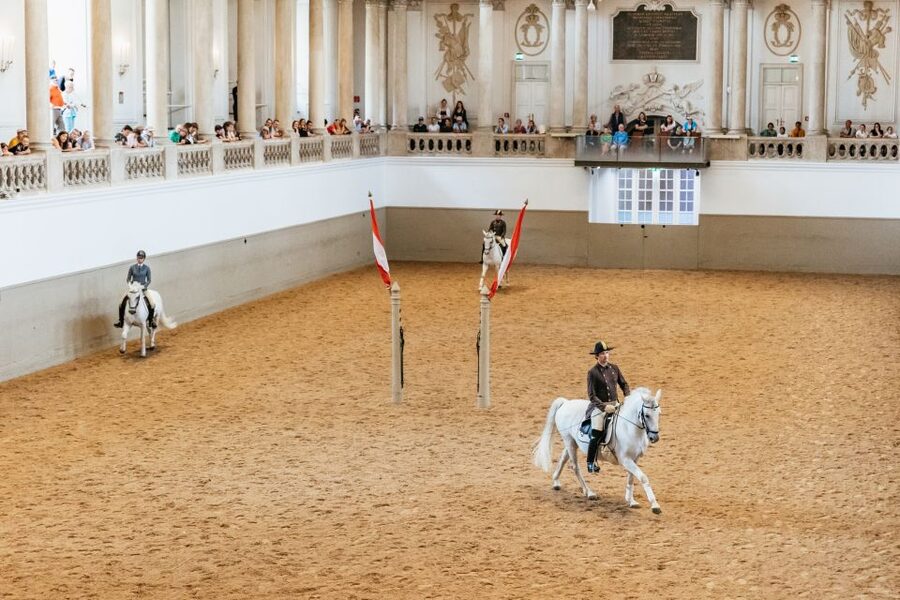 Vienna: Spanish Riding School Training - The difference between training and a formal show
