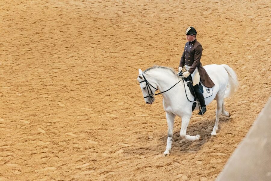 Vienna: Spanish Riding School Training - Arriving with your voucher