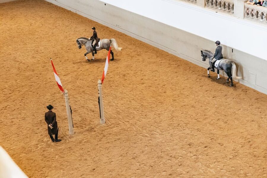 Vienna: Spanish Riding School Training - Is $20 good value?