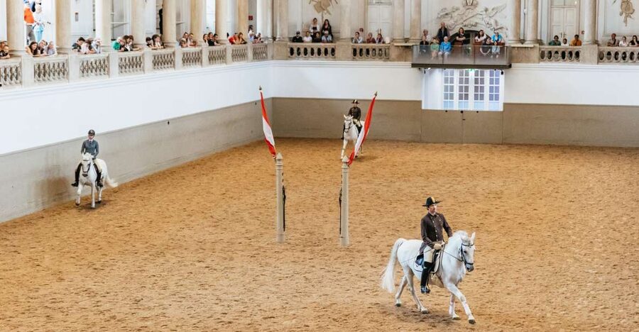 Vienna: Spanish Riding School Training - What happens during the one-hour training