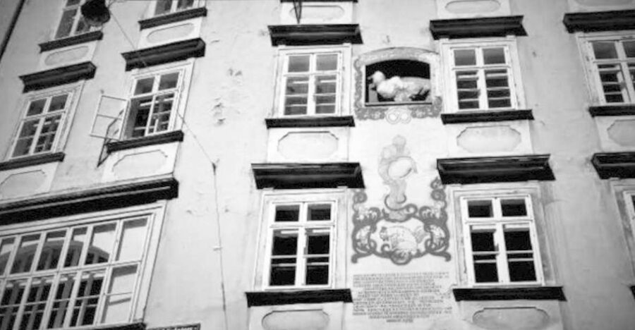 Vienna: Spooky Ghost Tour in English - Starting beneath Vienna’s darker memorial