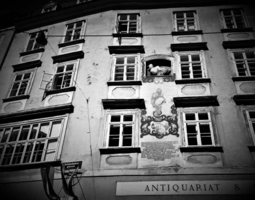 Vienna: Spooky Ghost Tour in English - Cobblestones, alleys, and the old city after dark