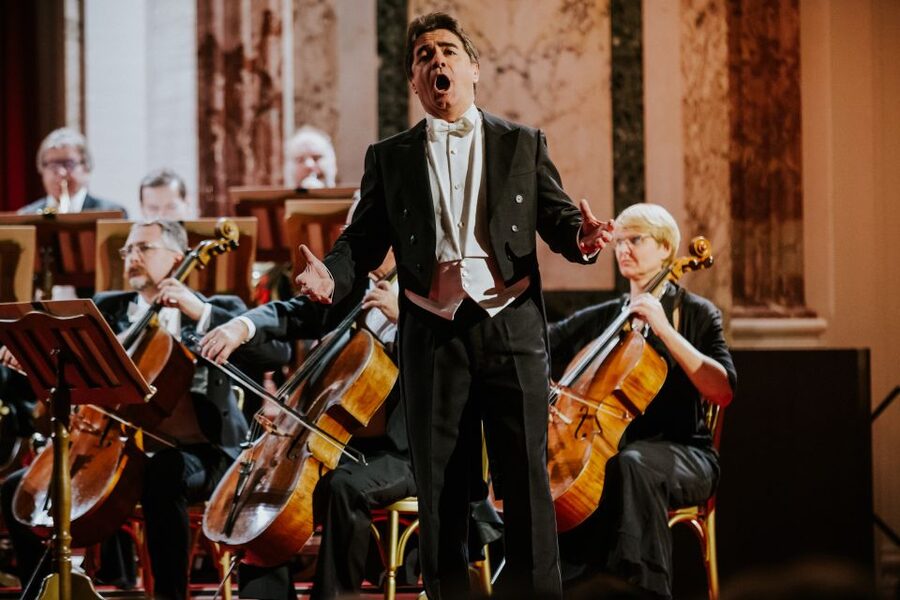 Vienna: Strauss and Mozart Concert at Hofburg Palace - Practical planning before you book