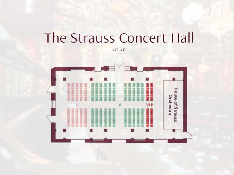 Vienna: Strauss Classical Concert with Soprano & Light Show - Who will enjoy the House of Strauss most?