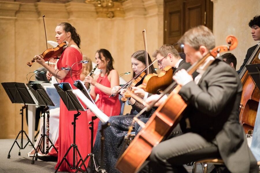 Vienna Supreme Orchestra at Palais Niederösterreich - Who will enjoy this concert most?