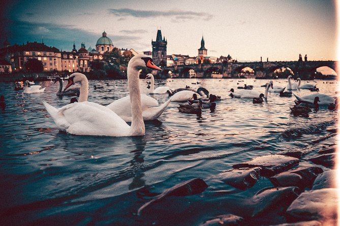 Vienna to Prague - Private Transfer with 2 hours of Sightseeing - What the driver does, and what the driver does not do