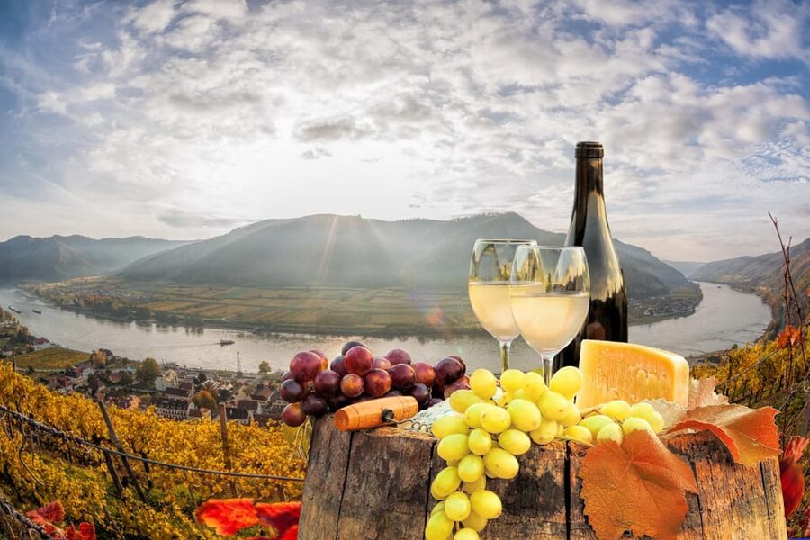 Vienna: Vienna Woods Tour with Underground Lake and Wine - Who should book this half-day outing?