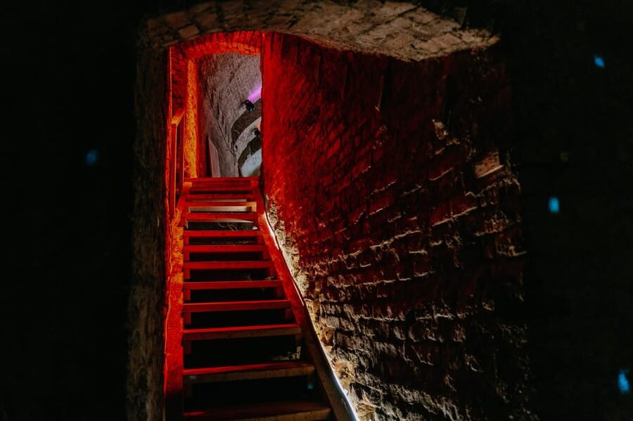 Vienna: Viennese Underworld Guided Walking Tour - Entering the private basements beneath Vienna