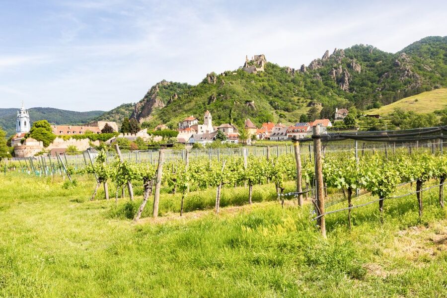 Vienna: Wachau Valley, Melk Abbey Tour with Danube Boat Trip - The Danube boat ride: the most relaxing part of summer