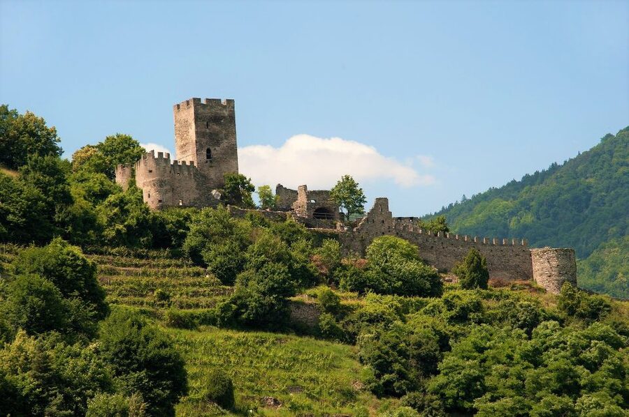 Vienna: Wachau Valley Private Kayak and Wine Tour - Who will enjoy this day most