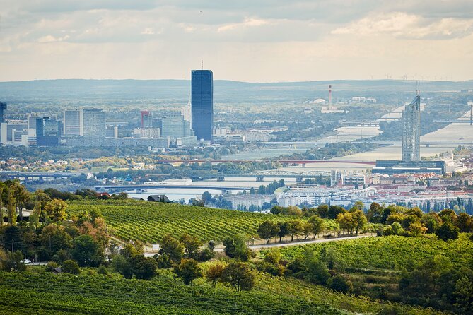 Vienna Wine Experience - Buschenschank and Heuriger traditions