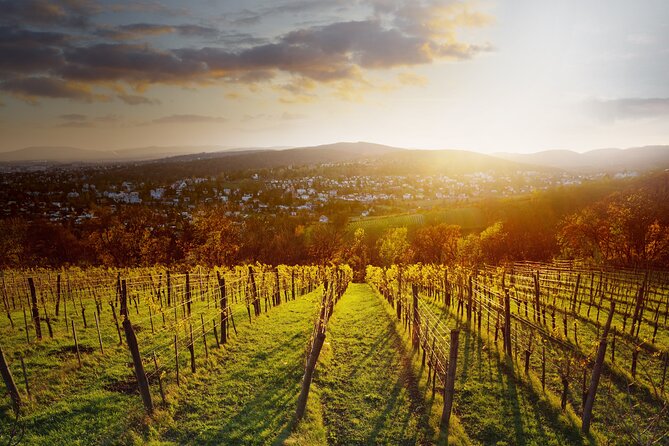 Vienna Wine Experience - What past outings add to the picture
